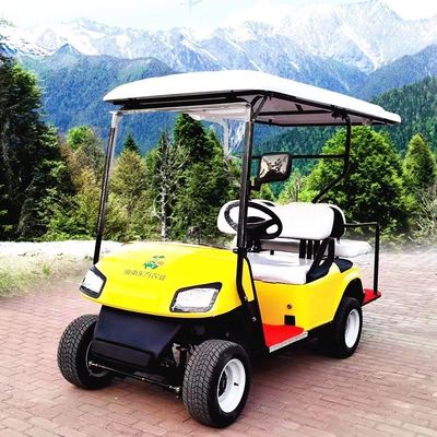 Direção à esquerda Carrinhos de golfe elétricos Buggy de bateria de lítio Carrinhos de golfe operados por bateria 2-10 lugares